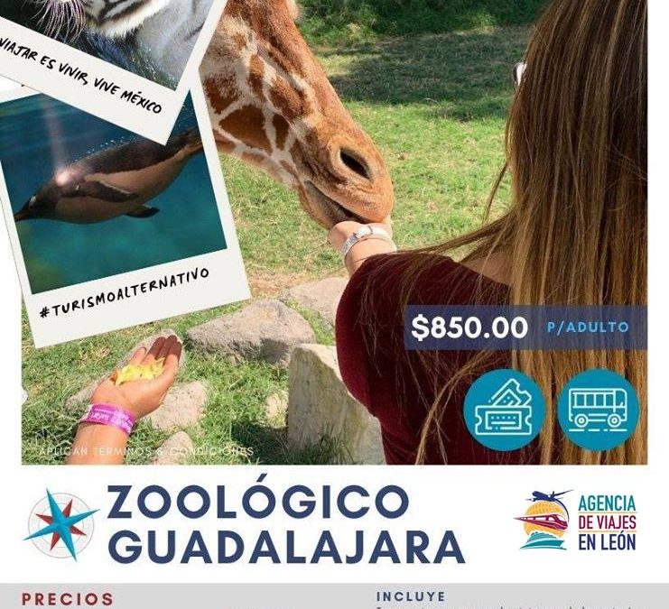VAMOS AL ZOOLÓGICO DE GUADALAJARA 🧡 2020